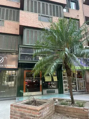 a palm tree in front of a store at Nueva Córdoba in Cordoba