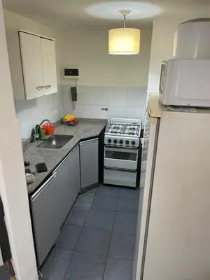 a small kitchen with a stove and a sink at Nueva Córdoba in Cordoba