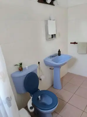 a bathroom with a blue toilet and a sink at María Reina De La Paz in Villa Cura Brochero