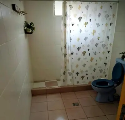 a bathroom with a shower curtain with a blue toilet at María Reina De La Paz in Villa Cura Brochero