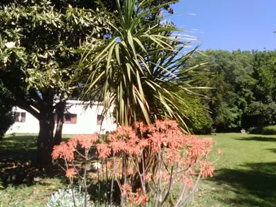 a palm tree in a garden with red flowers at Estancia San Carlos in Villa del Dique