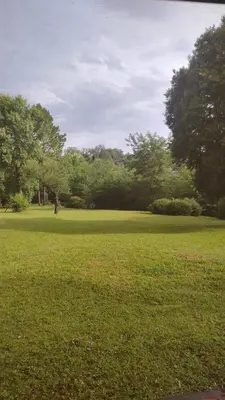 a field of green grass with trees in the background at Estancia San Carlos in Villa del Dique