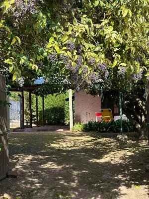 a garden with a tree with purple flowers on it at Villa il Fanale in Alpa Corral