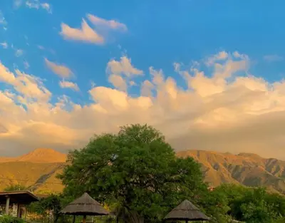 a tree and some umbrellas in front of some mountains at Casona de Montaña in Los Hornillos