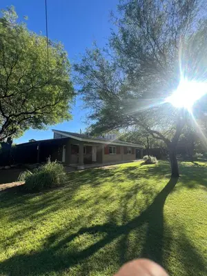 a sun shining through a tree in a yard at Cabañas la Huerta in Las Tapias