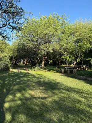 a park with trees and a picnic table in the grass at Cabañas la Huerta in Las Tapias