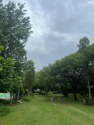 a park with trees and a dirt road at Cabañas la Huerta in Las Tapias
