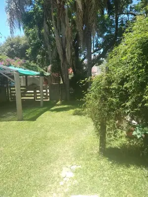 a garden with a picnic table and a tree at El Rincón Bucólico in Cordoba