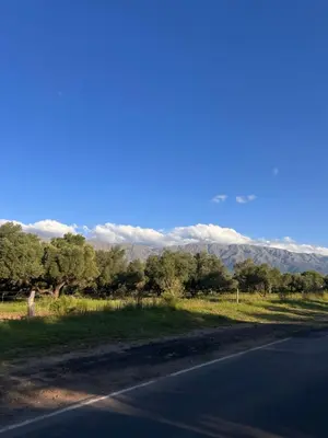 a road with trees and mountains in the distance at Selah in Villa de Las Rosas