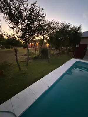 an overhead view of a swimming pool with trees at Selah in Villa de Las Rosas