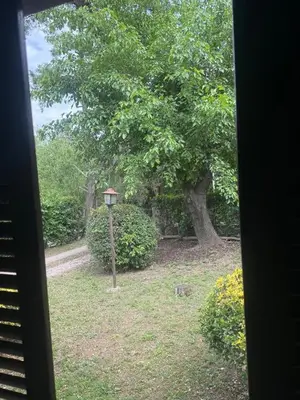 a window view of a park with a tree and a street light at Casa en La Falda, Córdoba in Cordoba