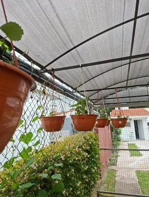 a row of potted plants hanging from a roof at Departamento cerca del rio in Villa Carlos Paz