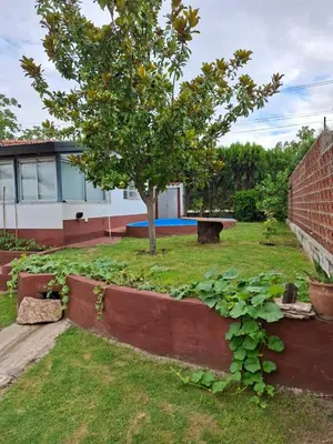a garden with a tree and a building at Departamento cerca del rio in Villa Carlos Paz