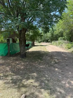 a tree with a bench next to a tent at Green mile in San Roque