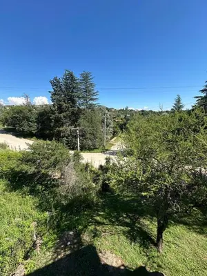 a group of trees in a field with a road at Cabaña La Estancia in Villa Carlos Paz