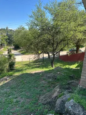 a tree in the middle of a yard at Cabaña La Estancia in Villa Carlos Paz