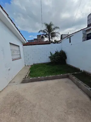 a backyard with a white wall and a palm tree at La Bernardina in Villa Carlos Paz