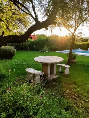a picnic table in the grass under a tree at Casa Salvia in Los Hornillos