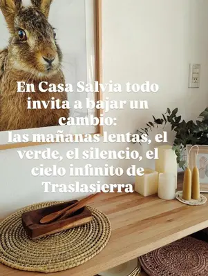a picture of a rabbit on a table with a mirror at Casa Salvia in Los Hornillos