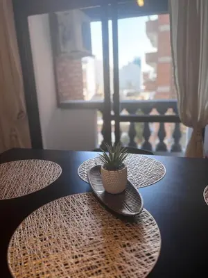 a table with a potted plant on top of it at Departamento Artigas in Cordoba