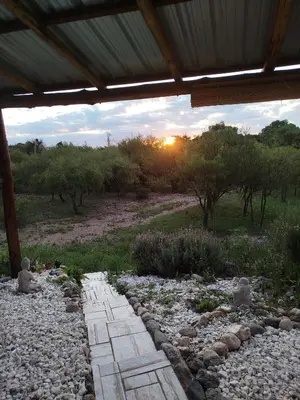 a garden with a stone walkway in a field at Entre Tanto in Luyaba