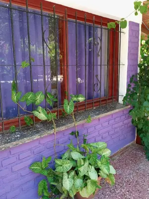 Gallery image of casitadearminda in Villa de Las Rosas