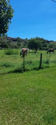 two horses grazing in a field of green grass at Casa los nonos in Cavalango