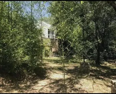 a house in the middle of a forest of trees at Chalet de piedra y madera in Cordoba