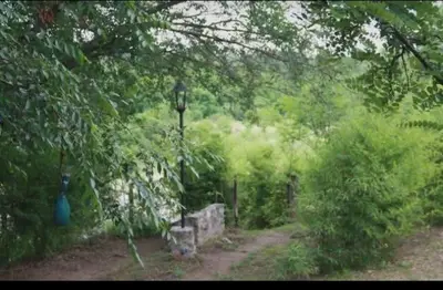 a path in a park with a street light and trees at Chalet de piedra y madera in Cordoba
