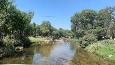 a river with a bunch of animals in it at Casa para 5 personas a 1 cuadra del río los Reartes in Villa Ciudad Parque