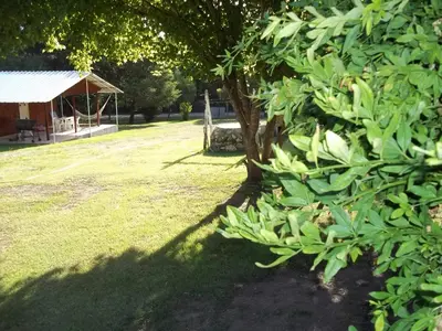 a garden with a tree and a pavilion in the background at La Matilde in Villa Ciudad de America