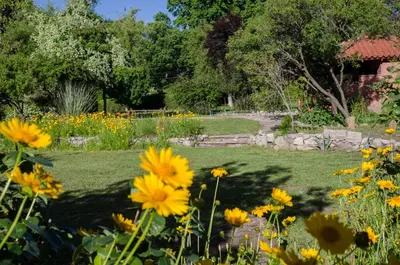 a garden with yellow flowers in a yard at Quebrada Mansa in Nono