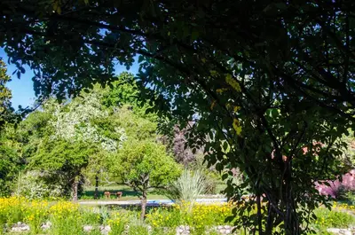 a park with trees and flowers in a field at Quebrada Mansa in Nono