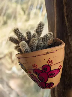 a plant in a pot hanging on a pole at Tierra Sagrada Eco Lodge in La Población