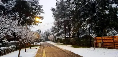 a snow covered street with trees and a fence at Cabaña Odanak in Villa General Belgrano