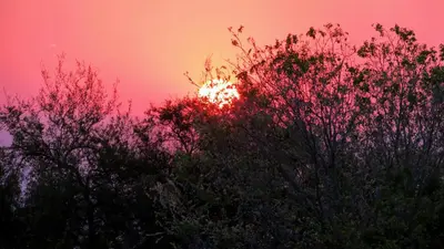 a sunset behind some trees in the foreground at Cabañas Yanasuy in Merlo