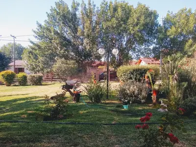 a garden with flowers and plants in a yard at Complejo Viejo Sulky in Mina Clavero