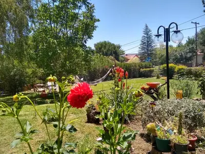 a garden with a lot of plants and flowers at Complejo Viejo Sulky in Mina Clavero