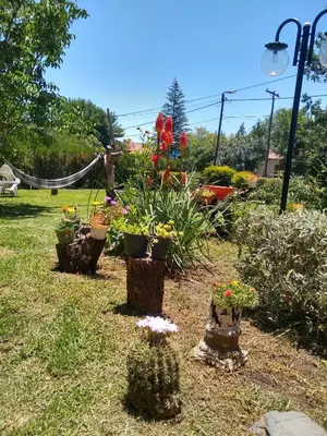 a group of potted plants in a garden at Complejo Viejo Sulky in Mina Clavero