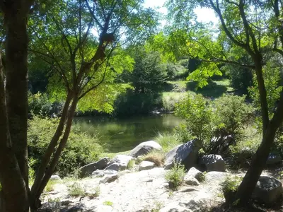 a pond in a park with trees and rocks at Cabañas Nueve Lunas in Santa Rosa de Calamuchita