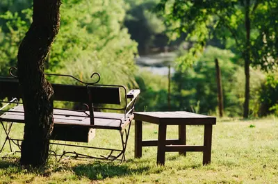 a park bench and a table next to a tree at Cabañas Nueve Lunas in Santa Rosa de Calamuchita