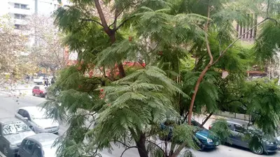 a palm tree next to a parking lot with cars at Nueva Córdoba Rondeau in Cordoba