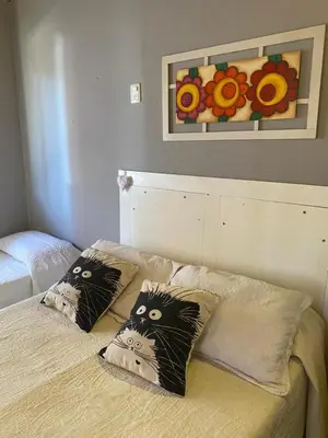 a bed with two cats pillows on it at Hostel Avetaia in Santa Rosa de Calamuchita