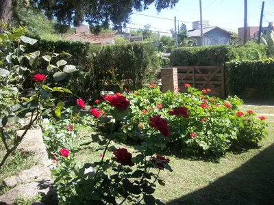 a garden with red roses in a yard at Cabañas Tio Willy in Villa Carlos Paz
