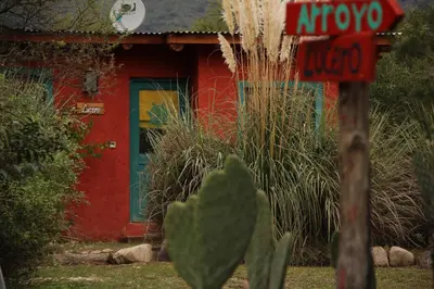 a house with a cactus in front of it at Samsara Traslasierra in Los Hornillos