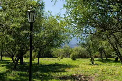 a street light in a field with trees at La Maína Cabañas in San Javier