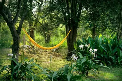 a yellow hammock in a forest with trees and flowers at La Faustina Casas de Campo in Villa General Belgrano