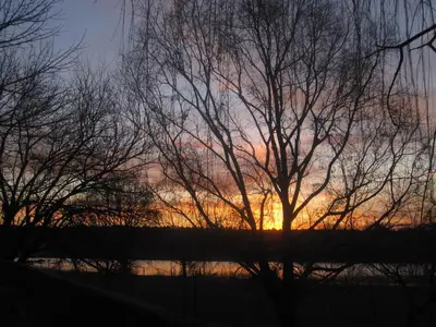 a sunset is seen through the branches of trees at Villa Verde Posada in Bialet Massé