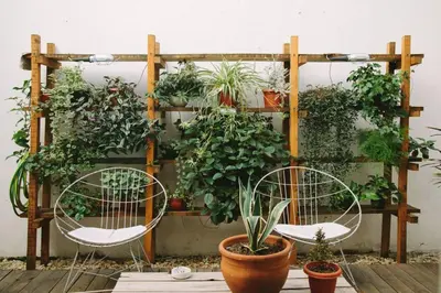two chairs in front of a garden with plants at Casa Helsinki in Cordoba