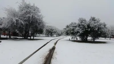 Gallery image of Cabañas Calma Chicha in Cortaderas